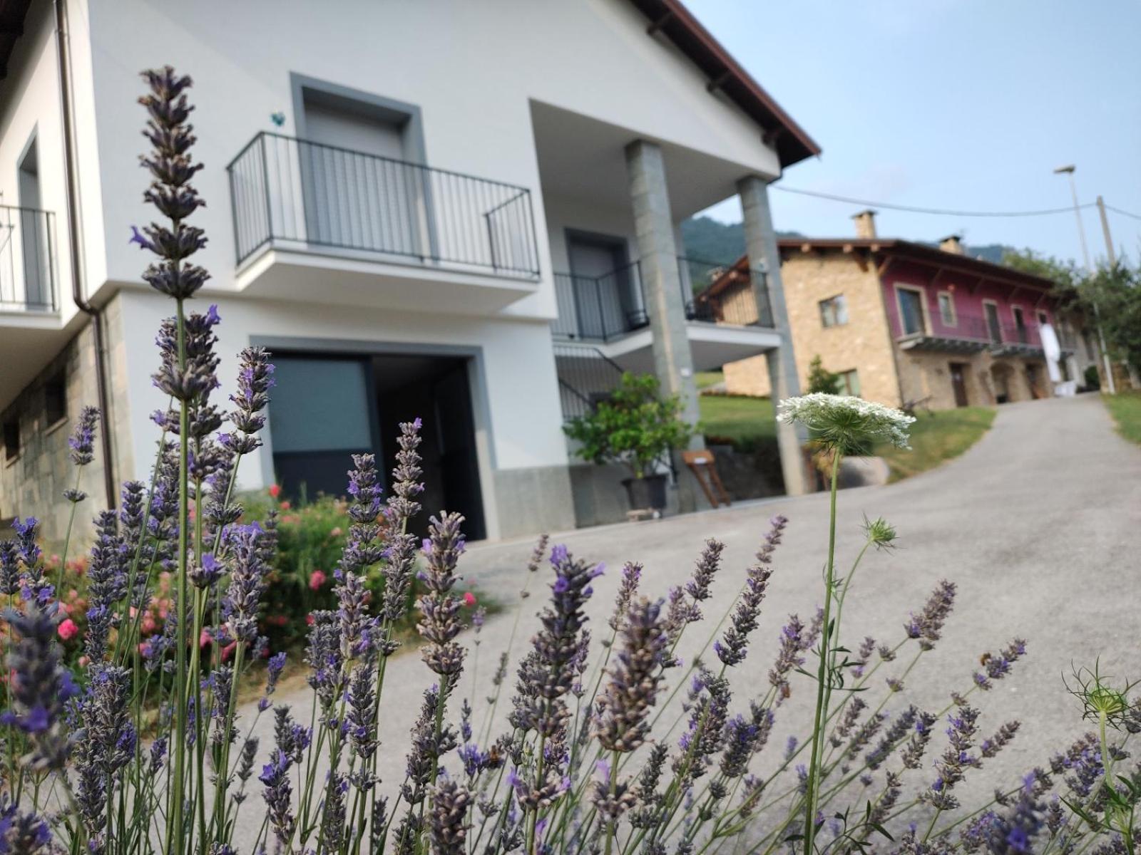 Ca' Dei Vescu - Villetta Per Vacanze Demonte Luaran gambar